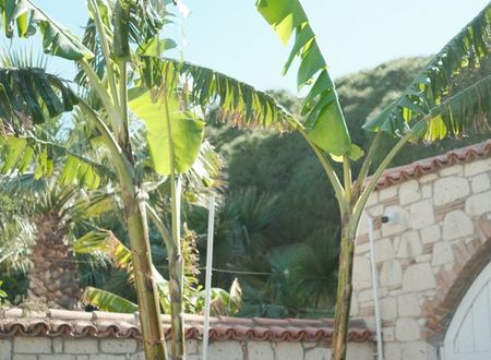 turkey/izmir/cesme/casatuanaalacati8cda1cae.jpg