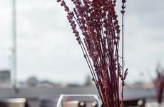 turkey/izmir/cesme/elevenhotelcb51e888.jpg