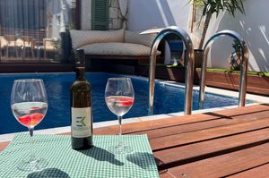 turkey/izmir/cesme/elinotelalacati5fffcb3a.jpg