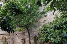 turkey/izmir/cesme/kaktushanbutikotel59f2292a.jpg