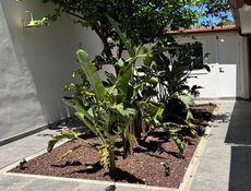 Ekonomik standart Oda - Bahçe Manzaralı