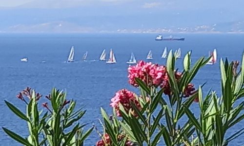 turkey/izmir/cesme/mavipanoramabutikotel356f2f63.jpg