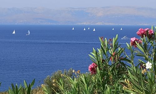 turkey/izmir/cesme/mavipanoramabutikotelfdb8af03.jpg