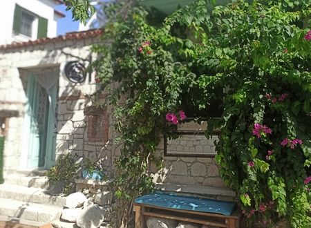 turkey/izmir/cesme/nidus148f0af4.jpg