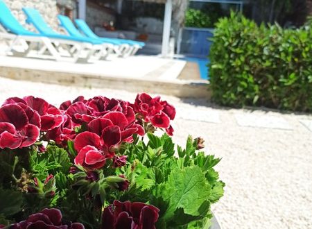 turkey/izmir/cesme/nidus8b0b8bd7.jpg