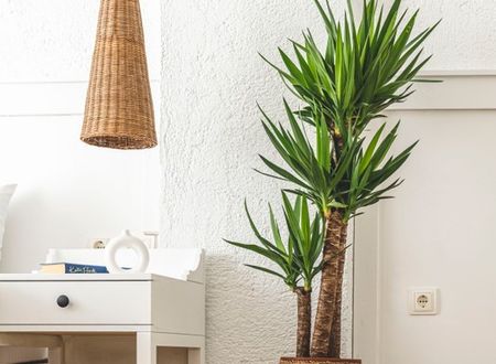 turkey/izmir/cesme/sandalalacatiab40c6f1.jpg