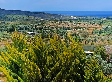turkey/izmir/cesme/vadialacatiee2c4fa1.jpg