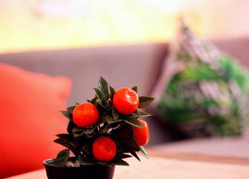 turkey/izmir/cesme/viyaboutiquehotelalacatif9772d79.jpg