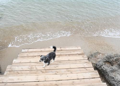 turkey/izmir/cesme/zayacesmehotelbeach01f85c0b.jpg
