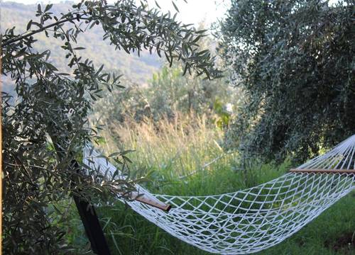 turkey/izmir/dikili/selalestonehouseboutiquehotelf8493235.jpg
