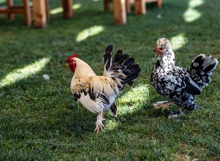 turkey/izmir/espiracasper7b500ee7.jpg