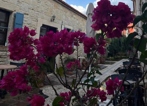 turkey/izmir/foca/griffonboutiquehotelb8971b4a.jpg