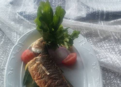 turkey/izmir/foca/myosotisboutiqueotel5cbdbc9a.jpg