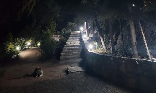turkey/izmir/foca/solefoca6c992cc1.jpg