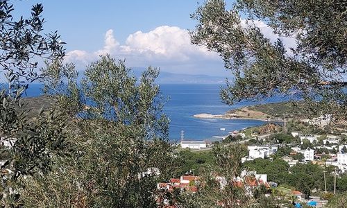 turkey/izmir/foca/solefocaced52180.jpg