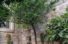 turkey/izmir/kaktushanbutikotel0bac4ea2.jpg