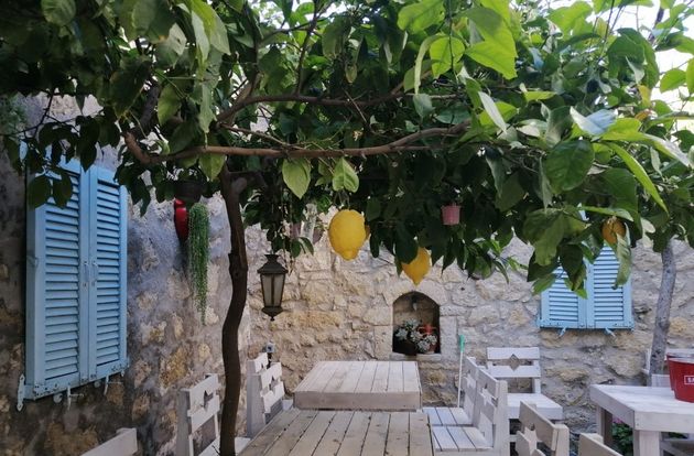 turkey/izmir/kaktushanbutikotel75697712.jpg