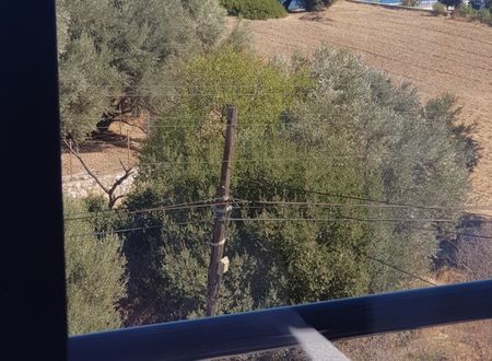 turkey/izmir/karaburun/northwindhotelskaraburun30629697.jpg