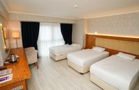 трехместный семейный номер