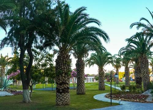 turkey/izmir/menderes/clubbeyyresorthotel11a96d2f.jpg