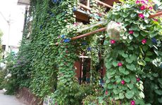 turkey/izmir/menderes/izmirtatilevi6e2b1123.jpg