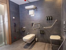 Accessible Room