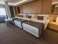Executive Suit