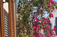 turkey/izmir/pangeasigaciksuitehotelbistro36443d76.jpg