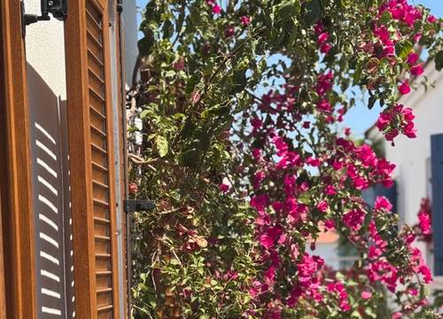 turkey/izmir/pangeasigaciksuitehotelbistro36443d76.jpg