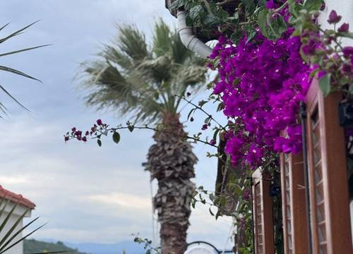 turkey/izmir/pangeasigaciksuitehotelbistro74ade473.jpg