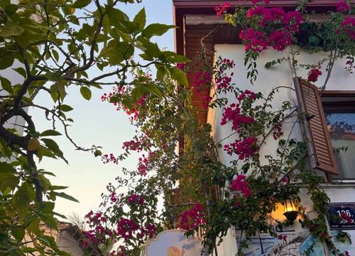 turkey/izmir/pangeasigaciksuitehotelbistrob766e7a2.jpg