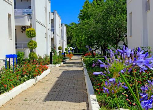 turkey/izmir/seferihisar/labrandalebedosprincess76406e36.jpg