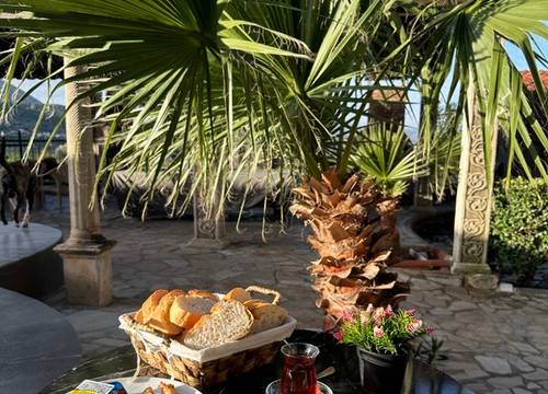 turkey/izmir/selcuk/efeshiddengardenresortotele566960d.jpg