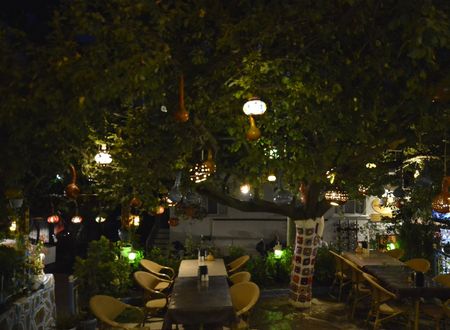 turkey/izmir/selcuk/sirincempansiyon55a29d2d.jpg