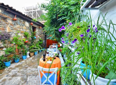 turkey/izmir/selcuk/sirincempansiyonf7cf2f49.jpg