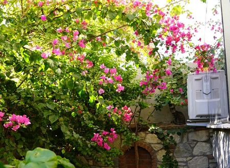 turkey/izmir/urla/lacasitaapartment034c0f2b.jpg