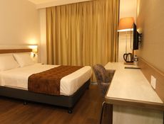 Business Room (King Yatak)