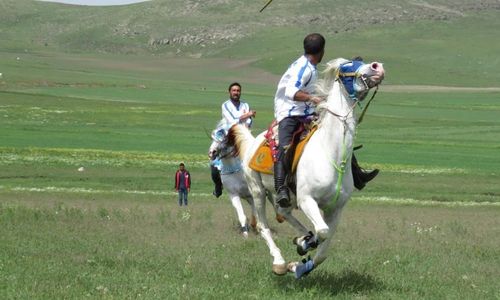 turkey/kars/dogununtasevlerid49ef83b.jpg