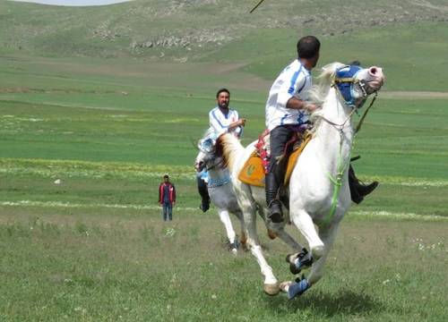 turkey/kars/dogununtasevlerid49ef83b.jpg