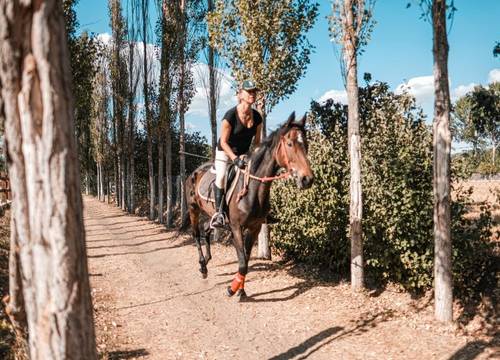 turkey/kastamonu/kastamonumerkez/golkoyyasamresort99967571.jpg