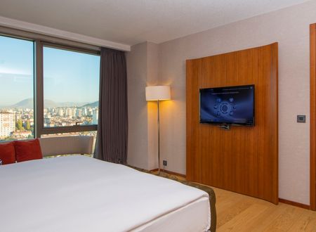 turkey/kayseri/crowneplazakayseri26858125.jpg