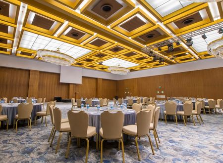 turkey/kayseri/crowneplazakayseri31f9ca6d.jpg