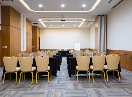 turkey/kayseri/crowneplazakayseri56989e4e.jpg