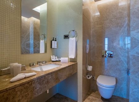 turkey/kayseri/crowneplazakayseri7bb7f164.jpg