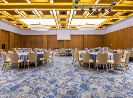 turkey/kayseri/crowneplazakayseri97e34259.jpg
