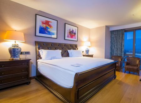 turkey/kayseri/crowneplazakayseri9ddeebf8.jpg