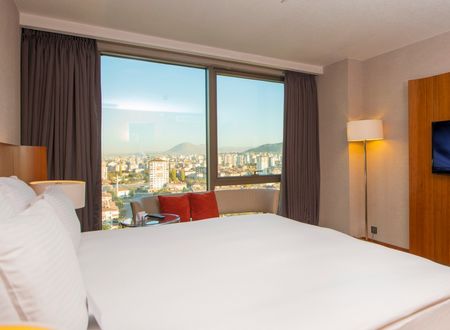 turkey/kayseri/crowneplazakayseriad465f67.jpg