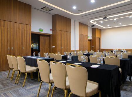turkey/kayseri/crowneplazakayserib973766d.jpg