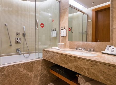 turkey/kayseri/crowneplazakayseribdd65483.jpg