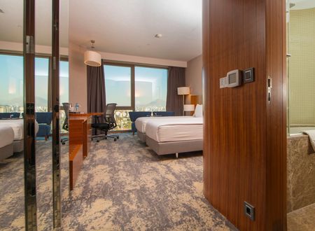turkey/kayseri/crowneplazakayserid8e8bdf3.jpg